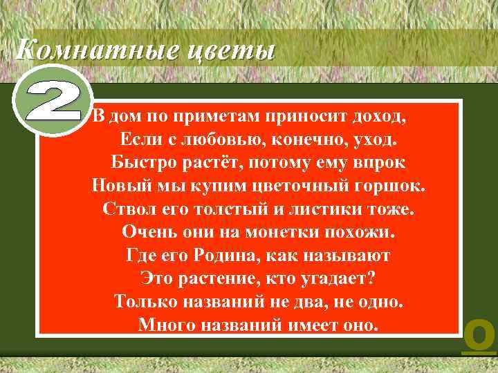 2 Комнатные цветы В дом по приметам приносит доход, Если с любовью, конечно, уход.