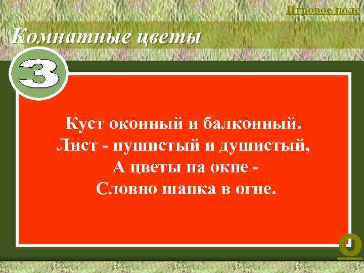 Игровое поле 3 Комнатные цветы Куст оконный и балконный. Лист - пушистый и душистый,