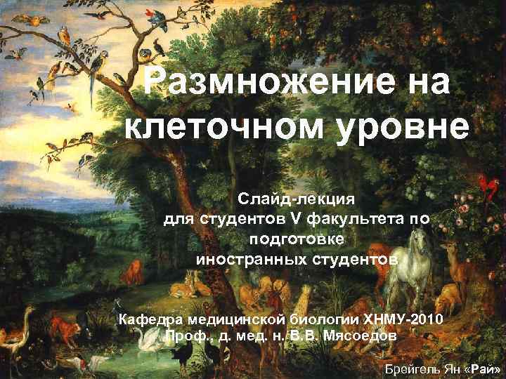 Размножение на клеточном уровне Слайд-лекция для студентов V факультета по подготовке иностранных студентов Кафедра