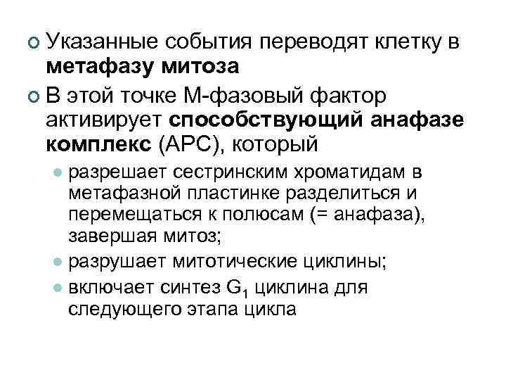 ¢ Указанные события переводят клетку в метафазу митоза ¢ В этой точке М-фазовый фактор