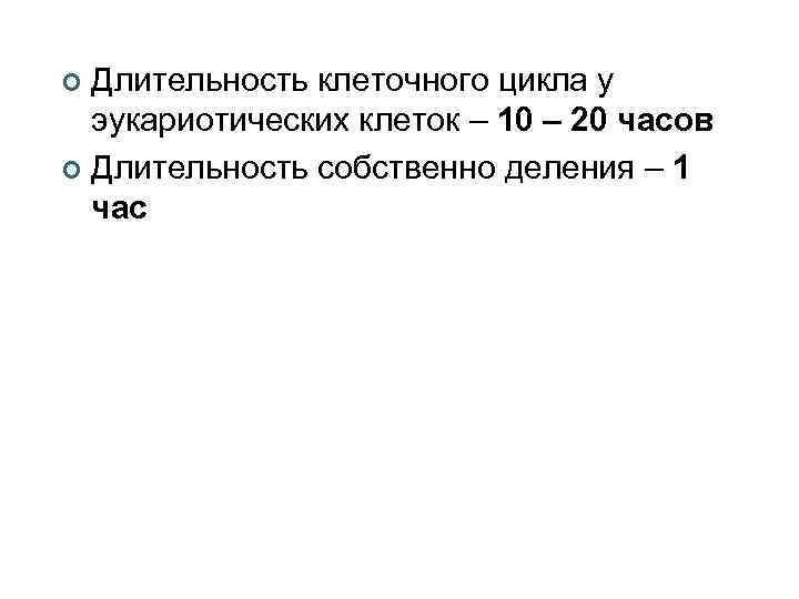Длительность клеточного цикла у эукариотических клеток – 10 – 20 часов ¢ Длительность собственно