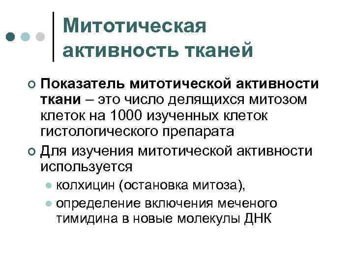 Митотическая активность тканей Показатель митотической активности ткани – это число делящихся митозом клеток на
