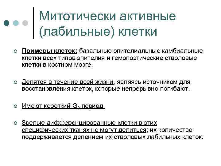 Митотически активные (лабильные) клетки ¢ Примеры клеток: базальные эпителиальные камбиальные клетки всех типов эпителия