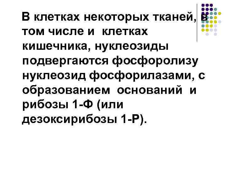 В клетках некоторых тканей, в том числе и клетках кишечника, нуклеозиды подвергаются фосфоролизу нуклеозид