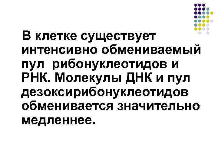 В клетке существует интенсивно обмениваемый пул рибонуклеотидов и РНК. Молекулы ДНК и пул дезоксирибонуклеотидов