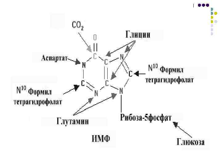 Схема распада нуклеопротеидов