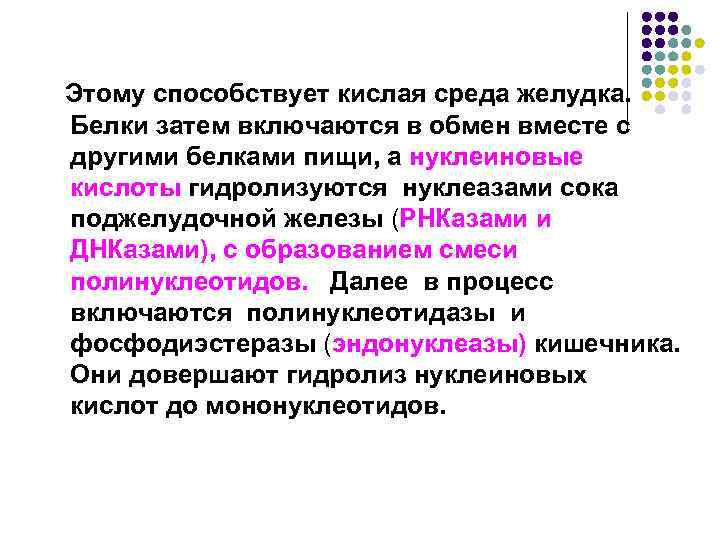 Этому способствует кислая среда желудка. Белки затем включаются в обмен вместе с другими белками