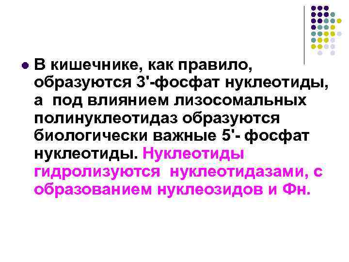 l В кишечнике, как правило, образуются 3'-фосфат нуклеотиды, а под влиянием лизосомальных полинуклеотидаз образуются