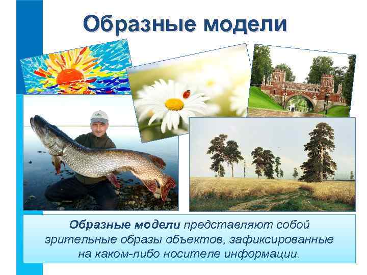 Образные модели представляют собой зрительные образы объектов, зафиксированные на каком-либо носителе информации. 