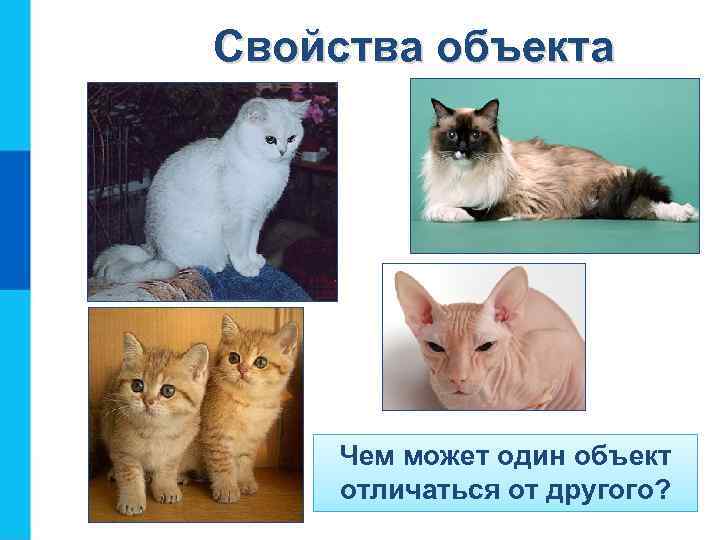 Свойства объекта Чем может один объект отличаться от другого? 
