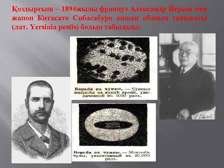 Қоздырғыш – 1894 жылы француз Александр Йерсен мен жапон Китасато Сибасабуро ашқан обаның таяқшасы