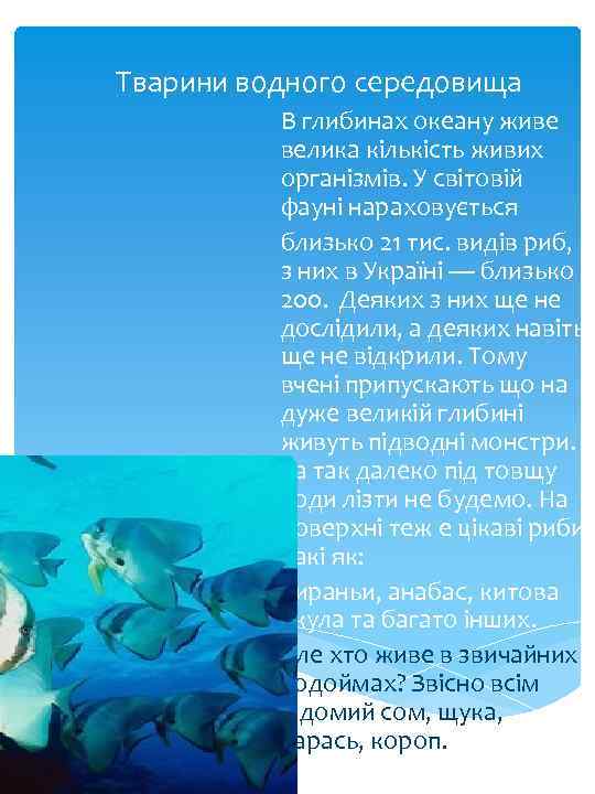 Тварини водного середовища В глибинах океану живе велика кількість живих організмів. У світовій фауні