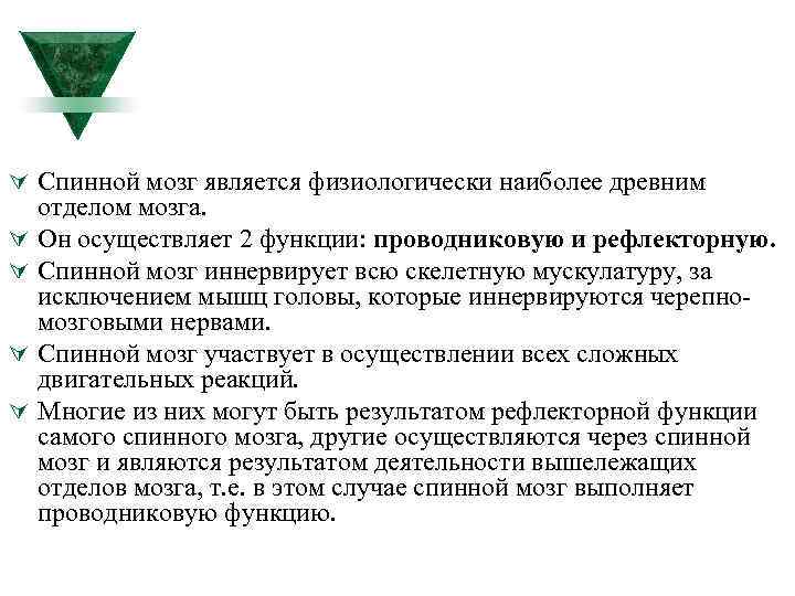 Ú Спинной мозг является физиологически наиболее древним Ú Ú отделом мозга. Он осуществляет 2