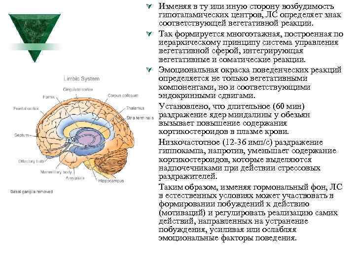 Ú Изменяя в ту или иную сторону возбудимость Ú Ú Ú гипоталамических центров, ЛС