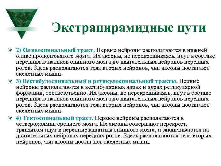 Функция пути. Оливоспинальный путь. Оливо спинномозговой тракт. Оливоспинальный путь функции. Нейроны экстрапирамидного пути.