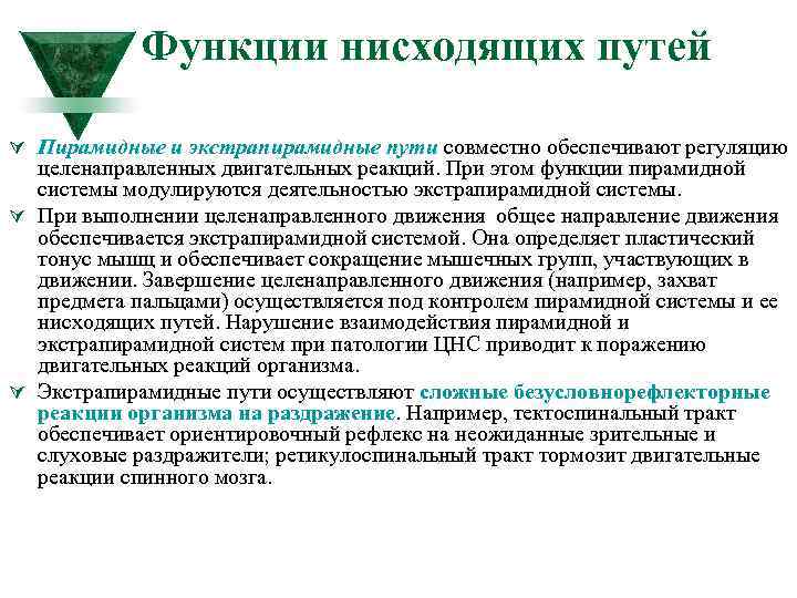 Функции нисходящих путей Ú Пирамидные и экстрапирамидные пути совместно обеспечивают регуляцию целенаправленных двигательных реакций.