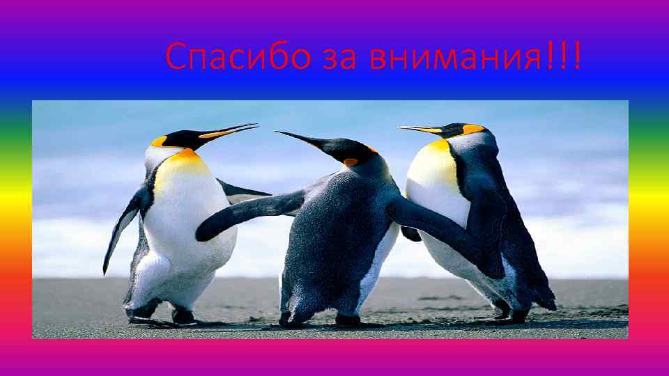 Спасибо за внимания!!! 