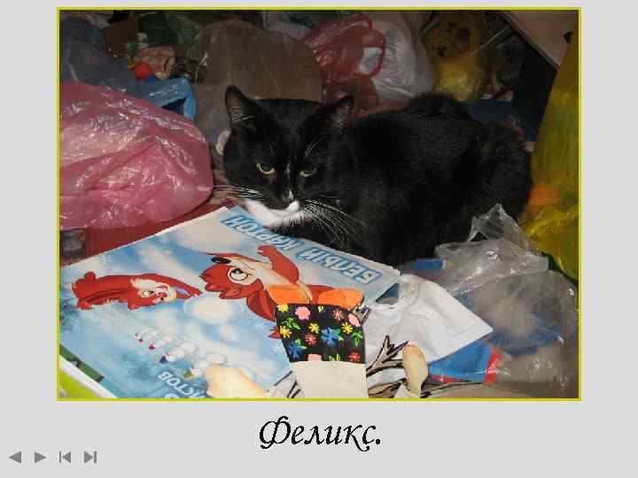 Феликс. 