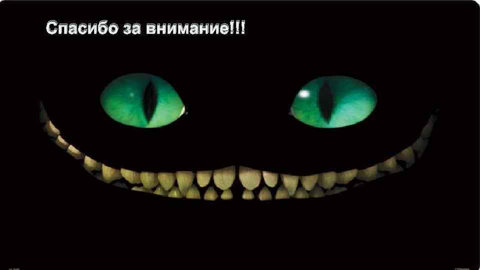 Спасибо за внимание!!! 