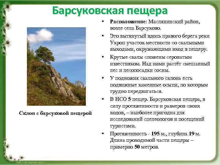 Барсуковская пещера • • • Склон с барсуковой пещерой • Расположение: Маслянинский район, возле