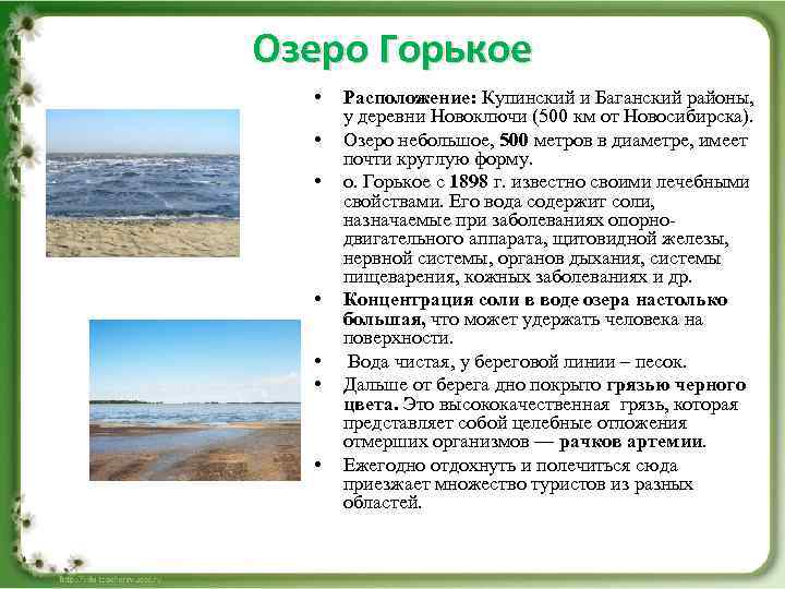 Озеро Горькое • • Расположение: Купинский и Баганский районы, у деревни Новоключи (500 км