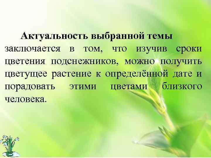 Актуальность выбранной темы заключается в том, что изучив сроки цветения подснежников, можно получить цветущее