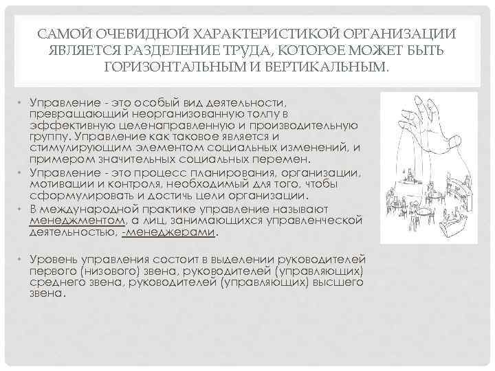 САМОЙ ОЧЕВИДНОЙ ХАРАКТЕРИСТИКОЙ ОРГАНИЗАЦИИ ЯВЛЯЕТСЯ РАЗДЕЛЕНИЕ ТРУДА, КОТОРОЕ МОЖЕТ БЫТЬ ГОРИЗОНТАЛЬНЫМ И ВЕРТИКАЛЬНЫМ. •