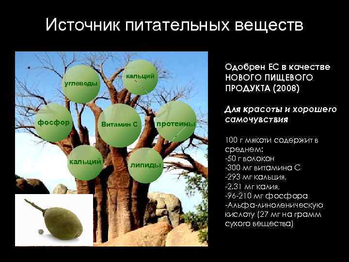 Источник питательных веществ кальций углеводы фосфор Одобрен ЕС в качестве НОВОГО ПИЩЕВОГО ПРОДУКТА (2008)