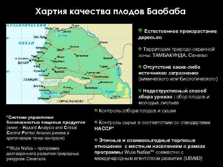 Хартия качества плодов Баобаба Естественное произрастание деревьев Территория природо-охранной зоны: ТАМБАКУНДА, Сенегал Отсутствие каких-либо