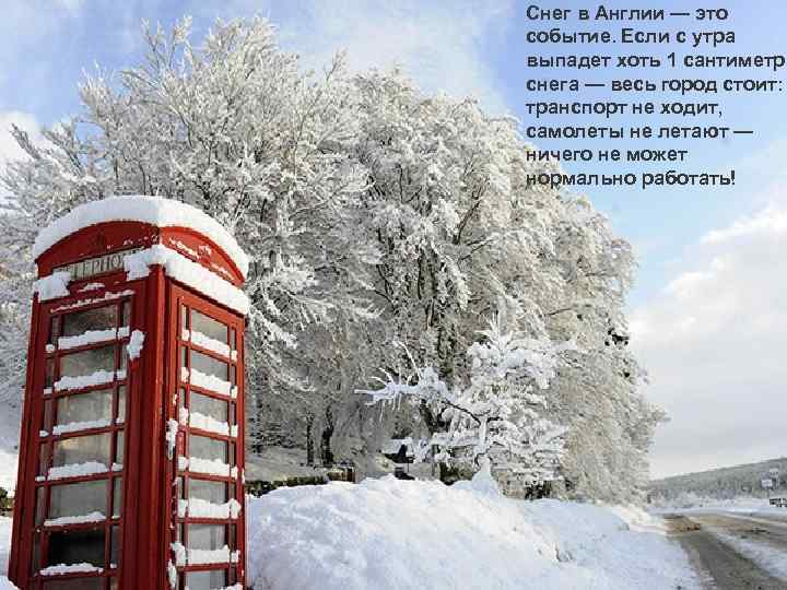Снег в Англии — это событие. Если с утра выпадет хоть 1 сантиметр снега