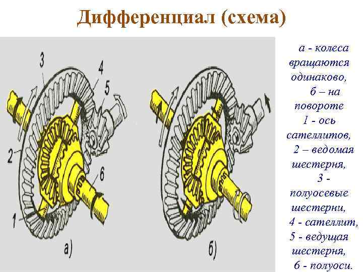Дифференциал (схема) а - колеса вращаются одинаково, б – на повороте 1 - ось