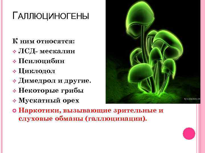 ГАЛЛЮЦИНОГЕНЫ К ним относятся: v ЛСД- мескалин v Псилоцибин v Циклодол v Димедрол и