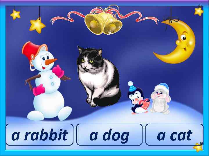 a rabbit a dog a cat 