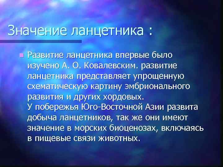 Значение ланцетника : n Развитие ланцетника впервые было изучено А. О. Ковалевским. развитие ланцетника