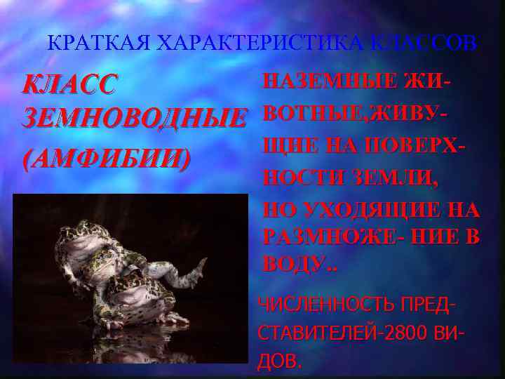 КРАТКАЯ ХАРАКТЕРИСТИКА КЛАССОВ КЛАСС ЗЕМНОВОДНЫЕ (АМФИБИИ) НАЗЕМНЫЕ ЖИВОТНЫЕ, ЖИВУЩИЕ НА ПОВЕРХНОСТИ ЗЕМЛИ, НО УХОДЯЩИЕ