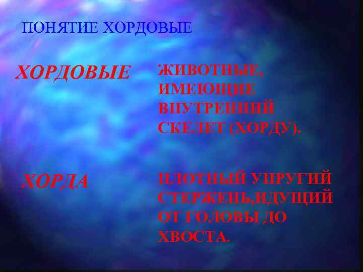 ПОНЯТИЕ ХОРДОВЫЕ ХОРДА ЖИВОТНЫЕ, ИМЕЮЩИЕ ВНУТРЕННИЙ СКЕЛЕТ (ХОРДУ). ПЛОТНЫЙ УПРУГИЙ СТЕРЖЕНЬ, ИДУЩИЙ ОТ ГОЛОВЫ
