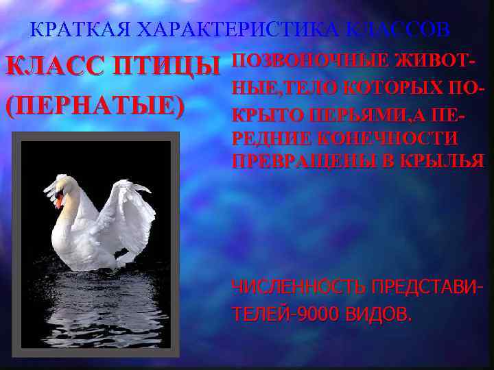 КРАТКАЯ ХАРАКТЕРИСТИКА КЛАССОВ КЛАСС ПТИЦЫ (ПЕРНАТЫЕ) ПОЗВОНОЧНЫЕ ЖИВОТНЫЕ, ТЕЛО КОТОРЫХ ПОКРЫТО ПЕРЬЯМИ, А ПЕРЕДНИЕ