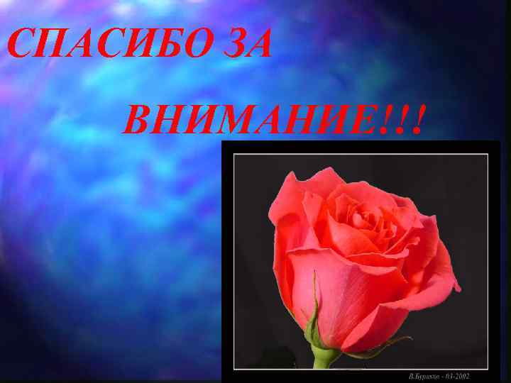 СПАСИБО ЗА ВНИМАНИЕ!!! 