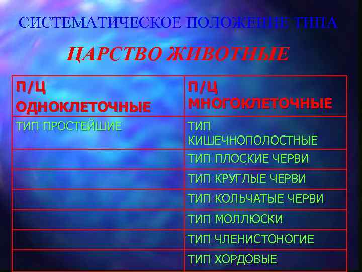 СИСТЕМАТИЧЕСКОЕ ПОЛОЖЕНИЕ ТИПА ЦАРСТВО ЖИВОТНЫЕ П/Ц ОДНОКЛЕТОЧНЫЕ П/Ц МНОГОКЛЕТОЧНЫЕ ТИП ПРОСТЕЙШИЕ ТИП КИШЕЧНОПОЛОСТНЫЕ ТИП