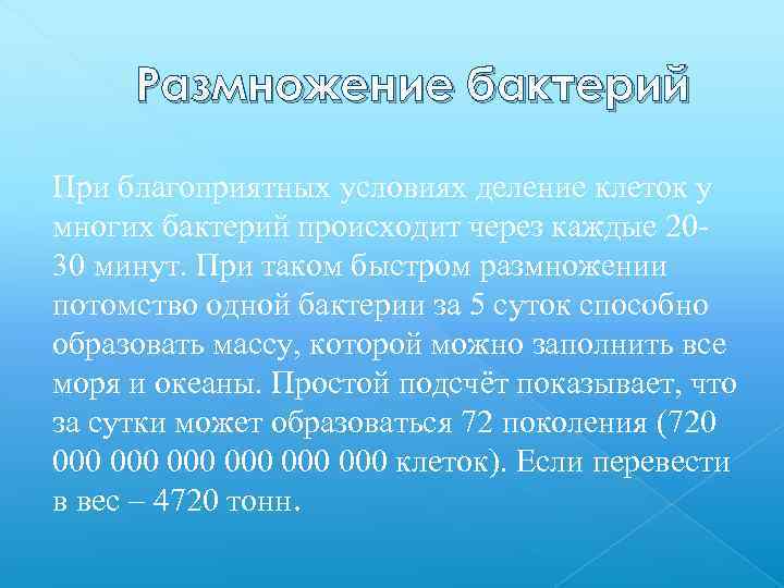 Размножение бактерий При благоприятных условиях деление клеток у многих бактерий происходит через каждые 2030