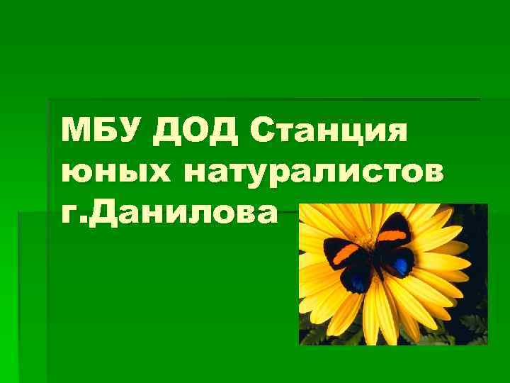 МБУ ДОД Станция юных натуралистов г. Данилова 
