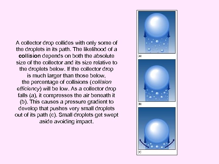 A collector drop collides with only some of the droplets in its path. The