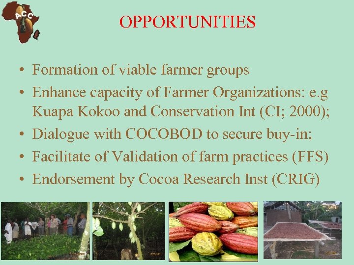 OPPORTUNITIES • Formation of viable farmer groups • Enhance capacity of Farmer Organizations: e.