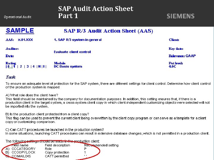 Operational Audit SAP Audit Action Sheet Part 1 