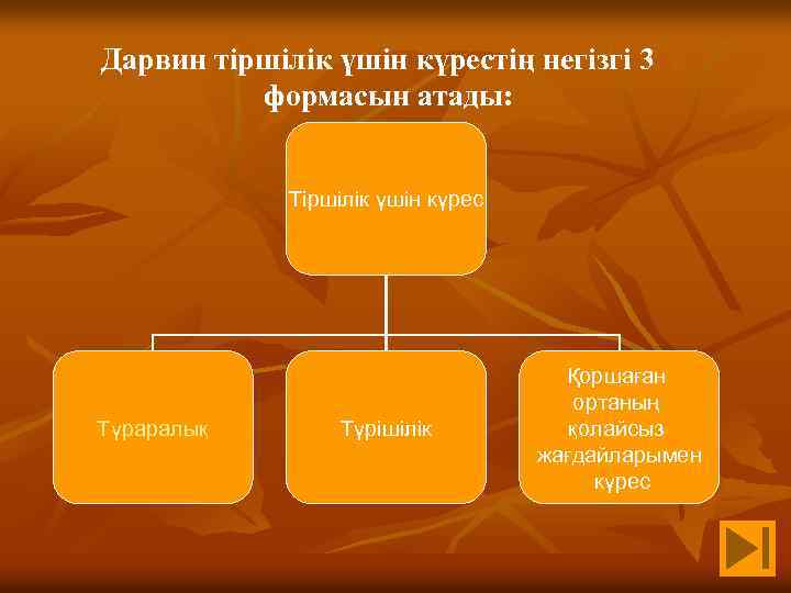 Дарвин тіршілік үшін күрестің негізгі 3 формасын атады: Тіршілік үшін күрес Түраралық Түрішілік Қоршаған