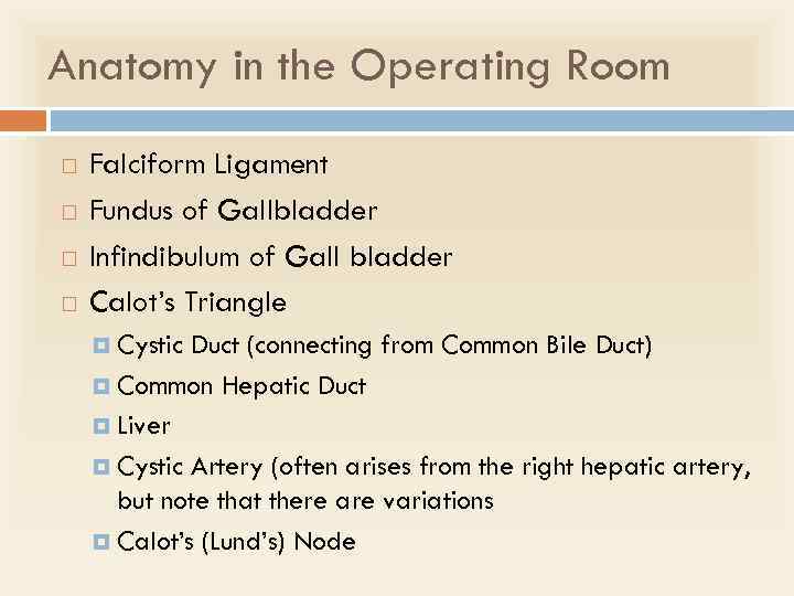 Anatomy in the Operating Room Falciform Ligament Fundus of Gallbladder Infindibulum of Gall bladder