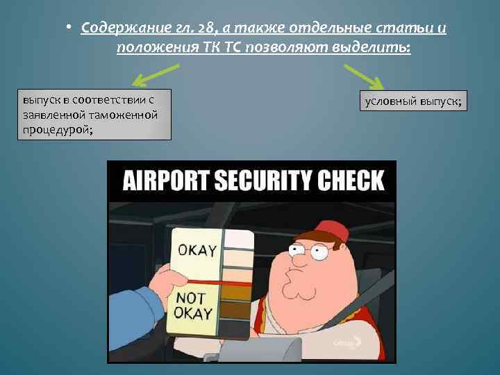  • Содержание гл. 28, а также отдельные статьи и положения ТК ТС позволяют