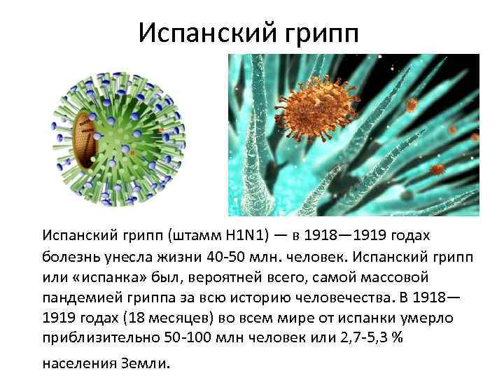 Испанский грипп (штамм H 1 N 1) — в 1918— 1919 годах болезнь унесла