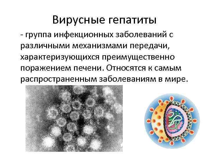 Гепатит группа заболеваний