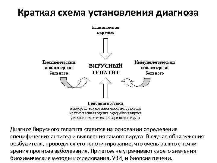 Краткая схема установления диагноза Диагноз Вирусного гепатита ставится на основании определения специфических антител и